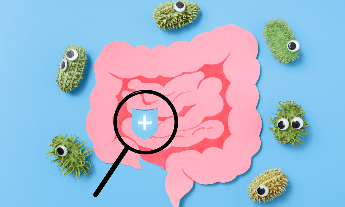 The Connection Between Gut Health and Weight Loss - Optislim