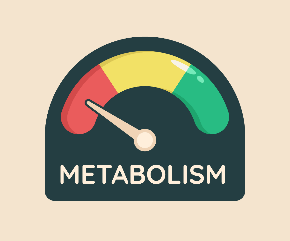 The Truth About Metabolism: Can You Really Speed It Up? - Optislim