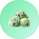 VLCD Classic Shake Choc Mint - 21 Meals